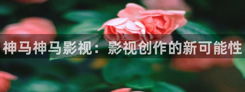 奇米在线电影