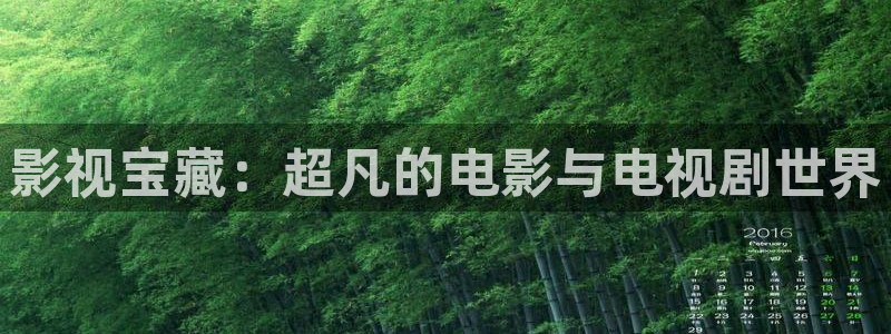 奇米在线视频二区