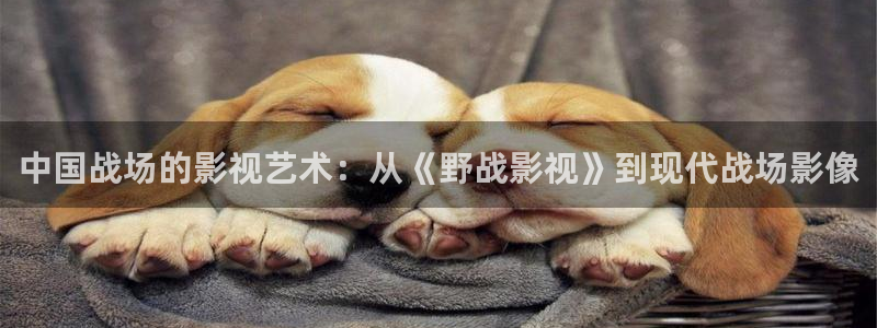 奇米在线在线视频