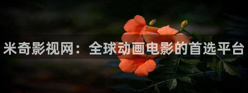 奇米在线看